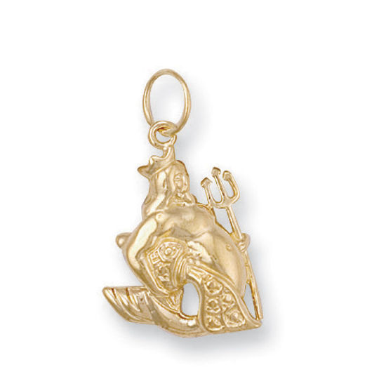 Aquarius Zodiac, 9ct Gold