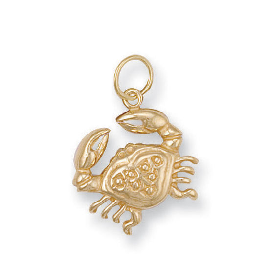 Cancer Zodiac, 9ct Gold